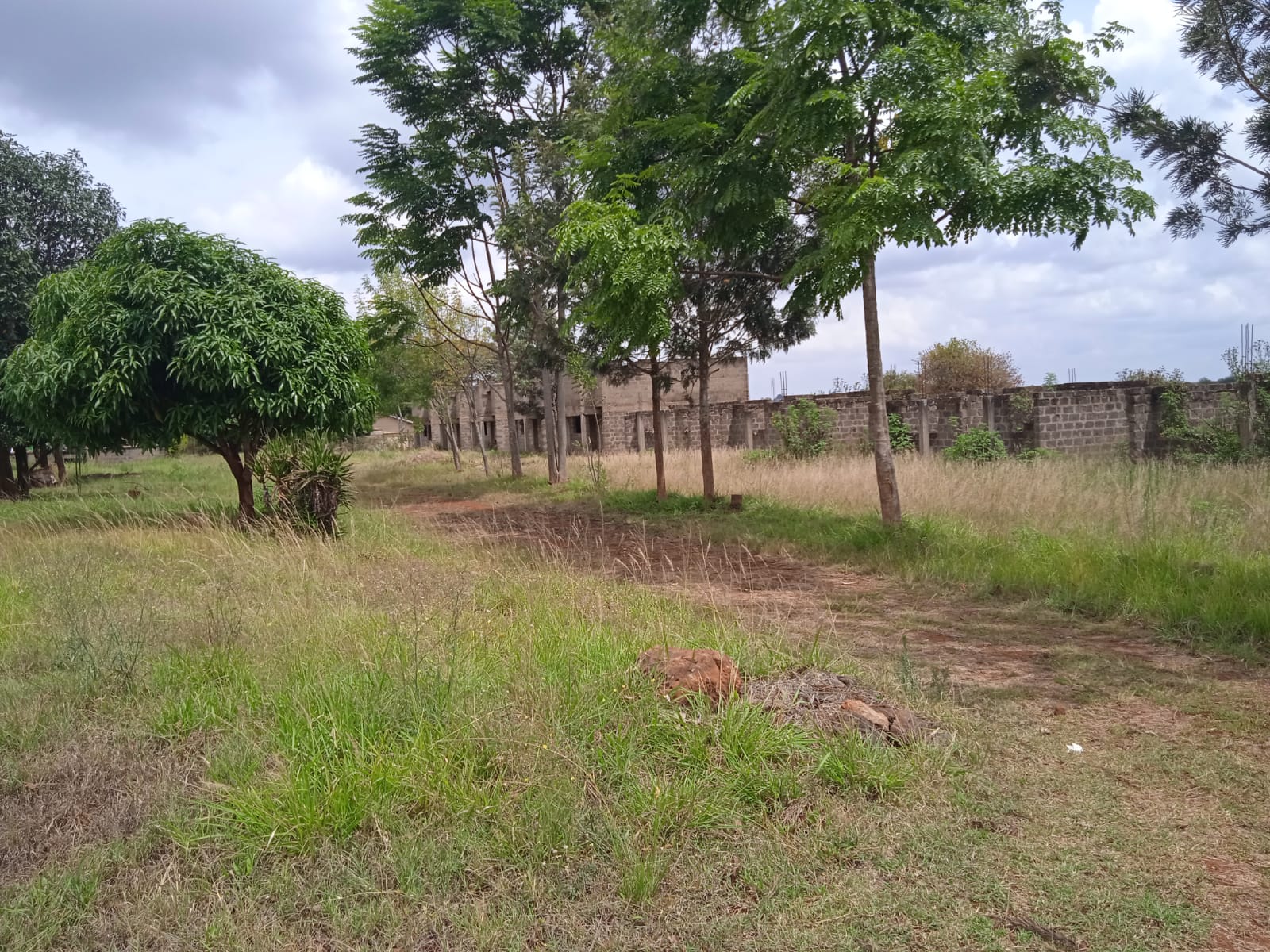 Plot Image 7